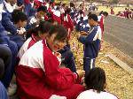 IMG03281605aa