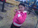 IMG0281A