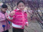 IMG0276A