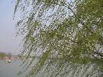 IMG_4465
