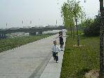 SANY0015