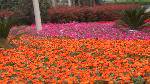 IMGA0330-