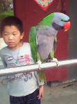 IMG0245A
