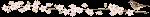 http_imgload12