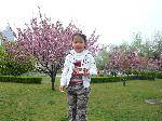 P1010591A-ѹ