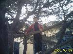 RECO0186