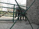 CIMG0205