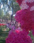 IMG0526A