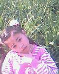 IMG0535A