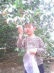 IMG0028A