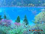 DSCN2588