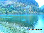 DSCN2636