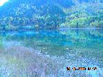 DSCN2634