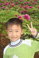 hua