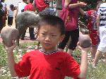 DVC00806