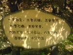 ֮