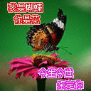 qqbiaoqing08