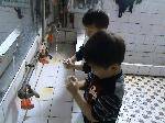 DSC00555