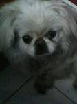 Jerry