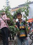 DSC00669