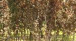 DSCN4216