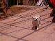 IMG0261A