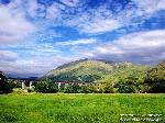 wallcoo.com_04017_63