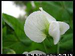 nEO_IMG_IMG_1407