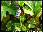 nEO_IMG_IMG_1457