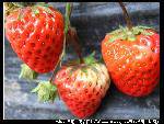 nEO_IMG_IMG_1420