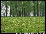 nEO_IMG_IMG_1544