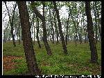 nEO_IMG_IMG_1527