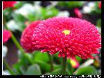 nEO_IMG_Ƭ041