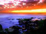 1031270_TN_070613hawaii28