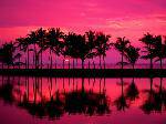 1031270_TN_070613hawaii17