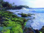 1031270_TN_070613hawaii14