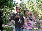 ALIM0279