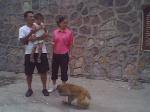 IMG0883A