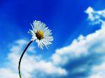 20090228_7b1b8e37e4d4c543b0bdCOyXytYYjySe