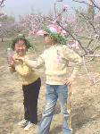 IMG0040A