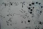 3DSC09518