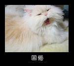 176_1022100_78b67ac4ee9c534[1]