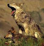 Img256128586[1]