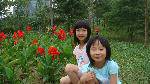 DSC02390111