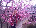 IMG0192A