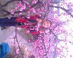 IMG0193A