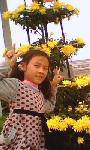 IMG0047A