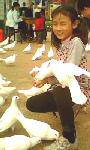 IMG0059A