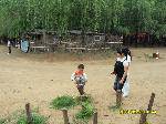 SDC10143~1