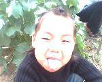 IMG0152A